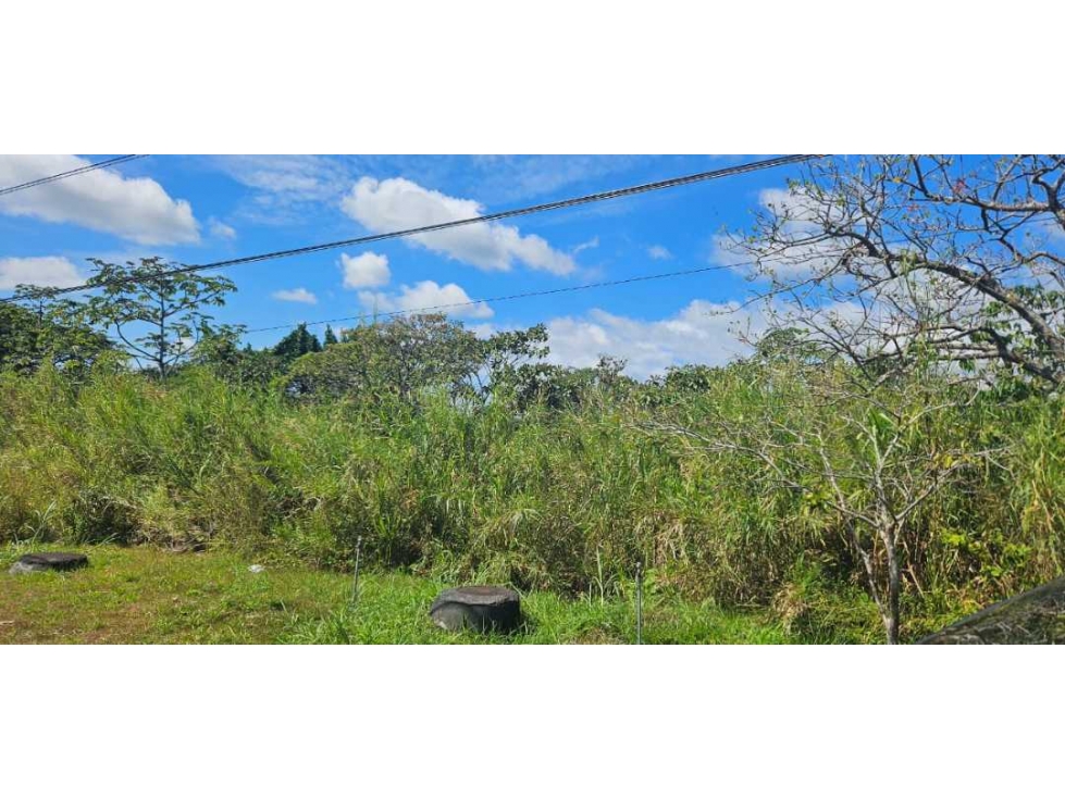 VENDO LOTE COMERCIAL EN BQOUETE - 6