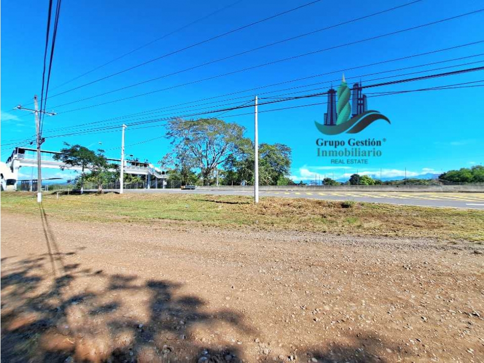 VENDO LOTE COMERCIAL 438 m2 EN CORREGIMIENTO DE CHIRIQUI - 2