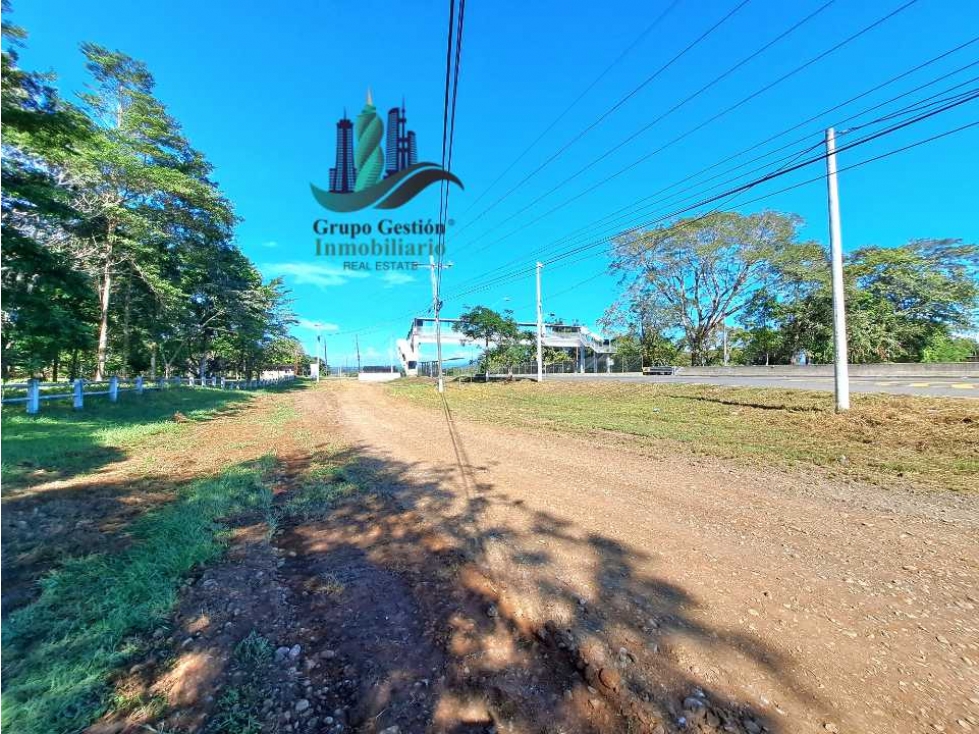 VENDO LOTE COMERCIAL 438 m2 EN CORREGIMIENTO DE CHIRIQUI - 3