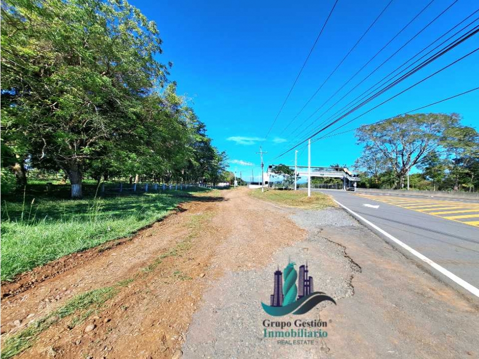 VENDO LOTE COMERCIAL 438 m2 EN CORREGIMIENTO DE CHIRIQUI - 4
