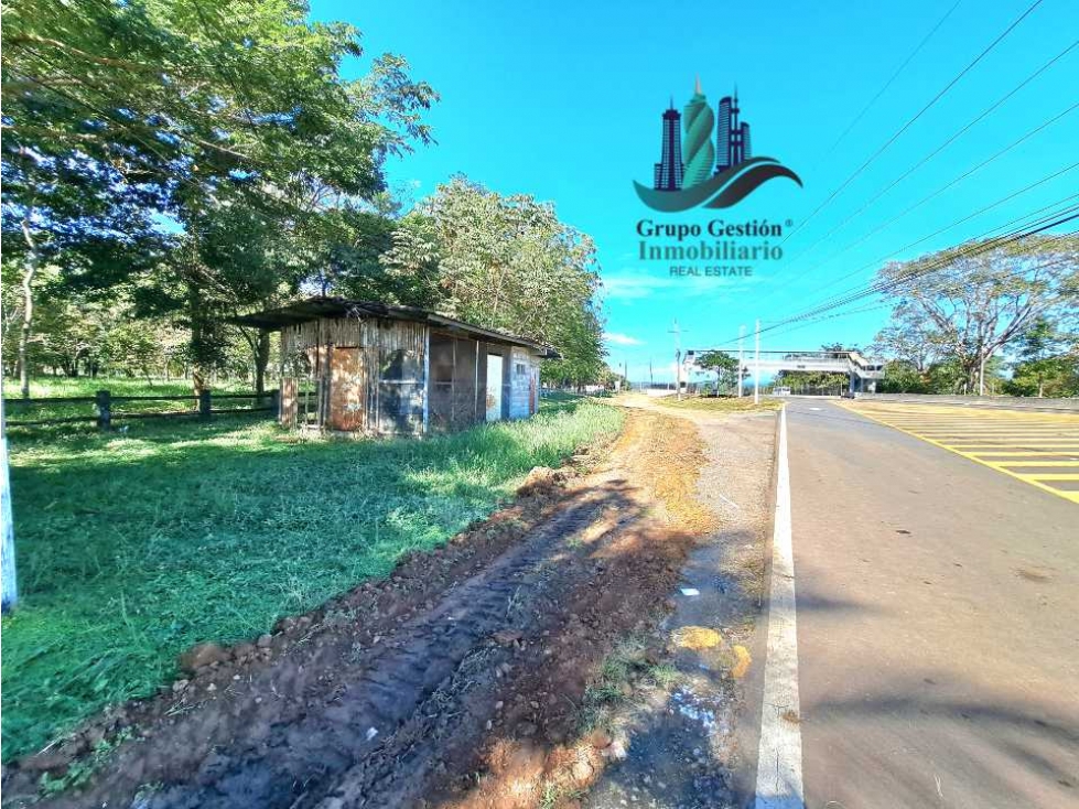 VENDO LOTE COMERCIAL 438 m2 EN CORREGIMIENTO DE CHIRIQUI - 5
