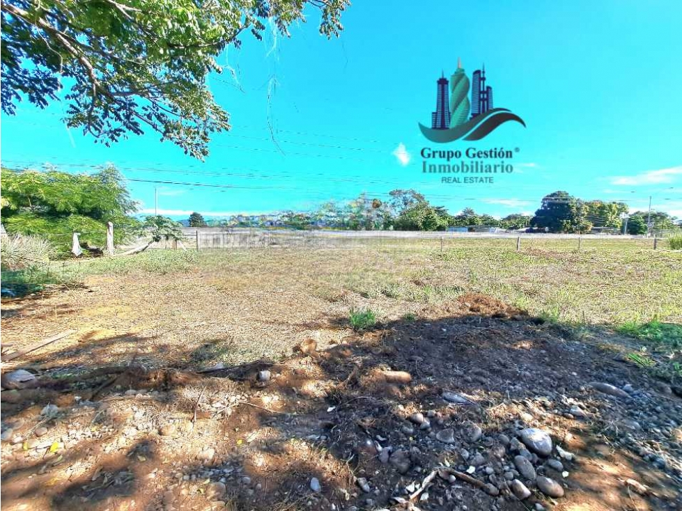 VENDO LOTE COMERCIAL 438 m2 EN CORREGIMIENTO DE CHIRIQUI - 6