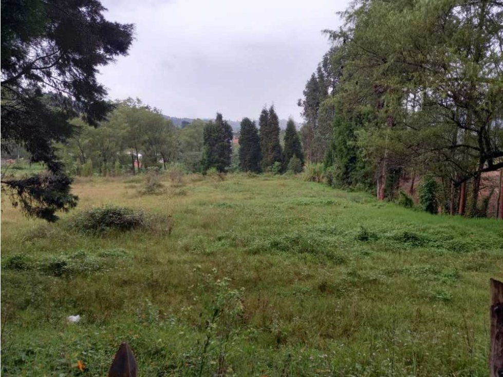 Vendo lote comercial en guarne Antioquia — foto 2