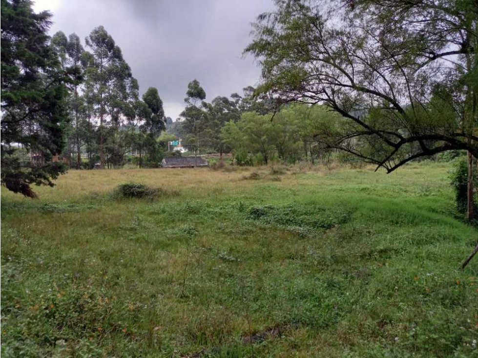 Vendo lote comercial en guarne Antioquia — foto 5