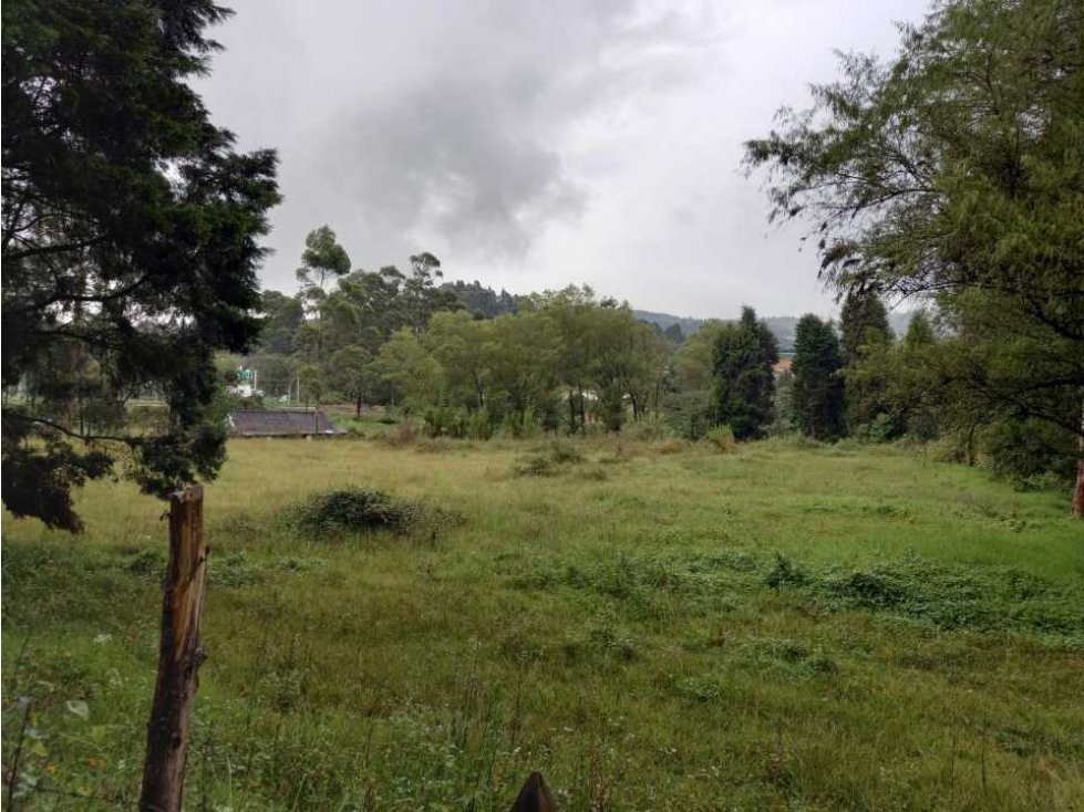Vendo lote comercial en guarne Antioquia — foto 3