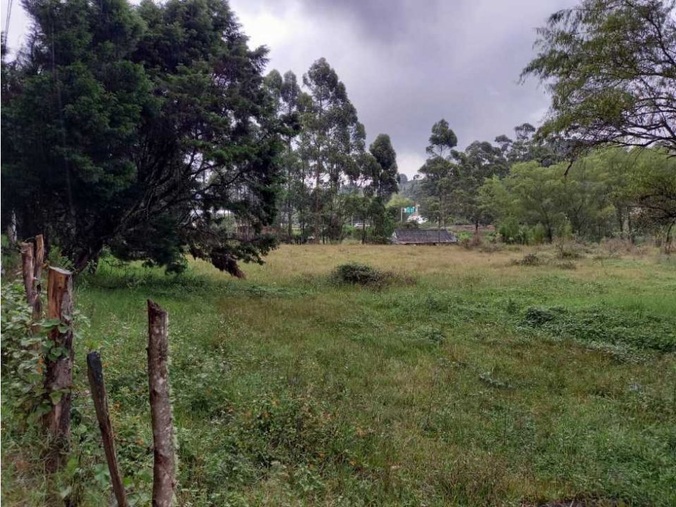 Vendo lote comercial en guarne Antioquia — foto 4