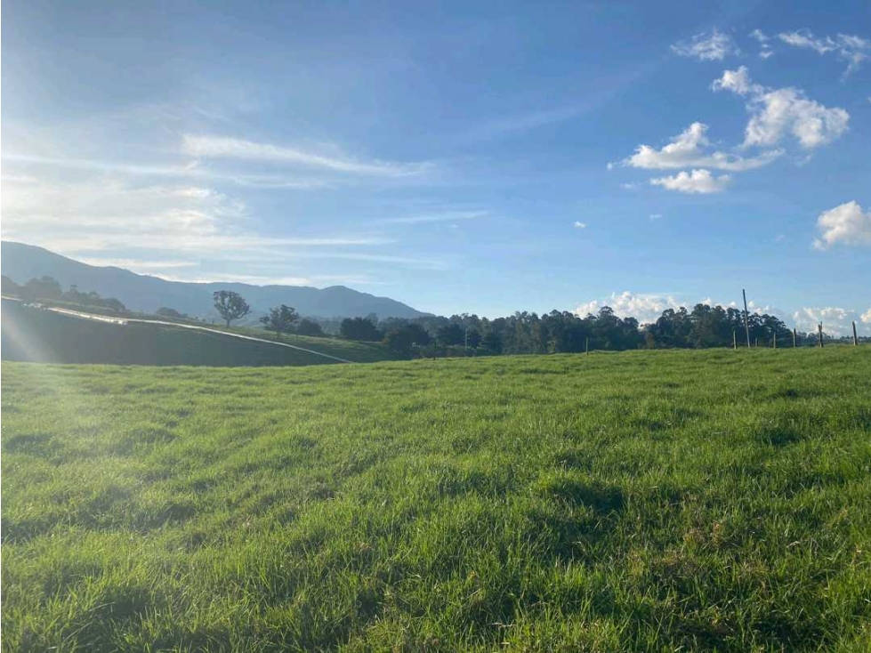 venta lote comercial en san felix, vía san pedro. - 3