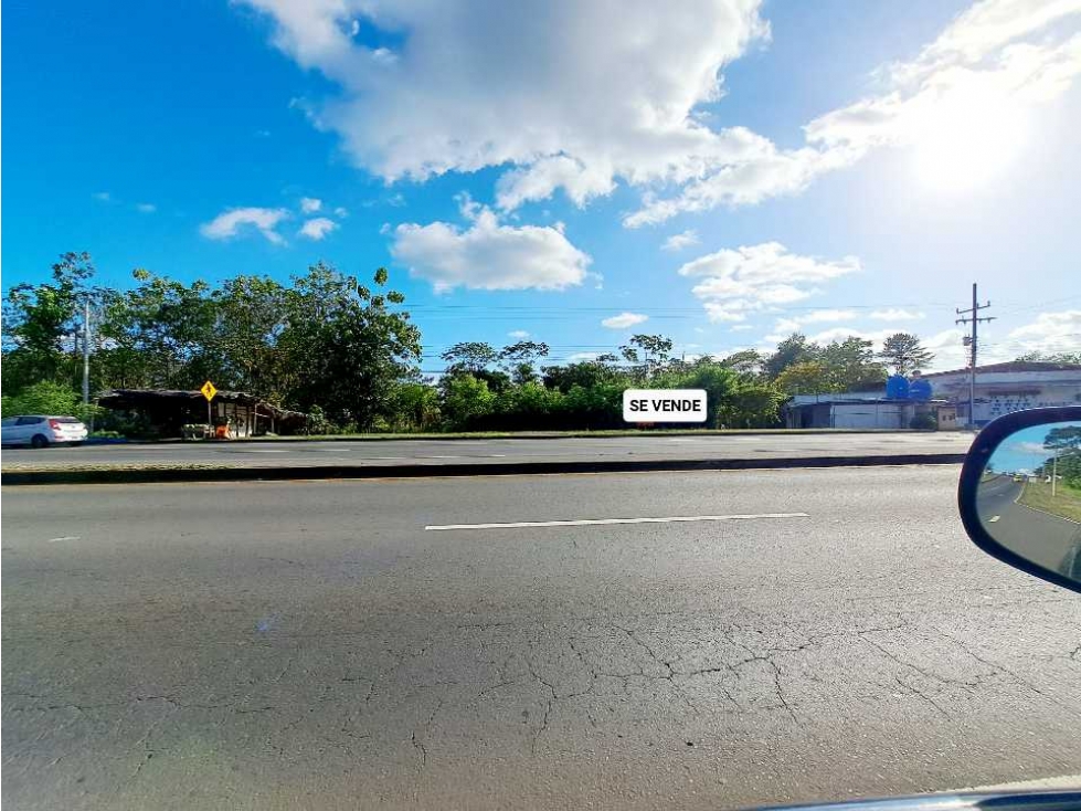 VENDO LOTE COMERCIAL EN VÍA PANAMERICANA - 2