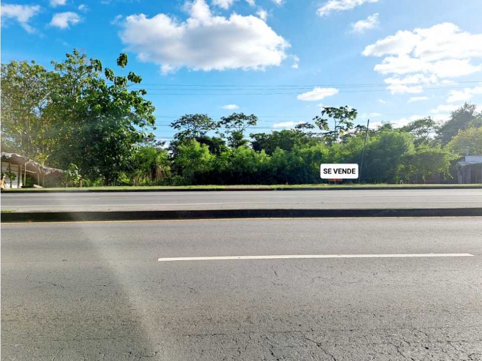 VENDO LOTE COMERCIAL EN VÍA PANAMERICANA - 3