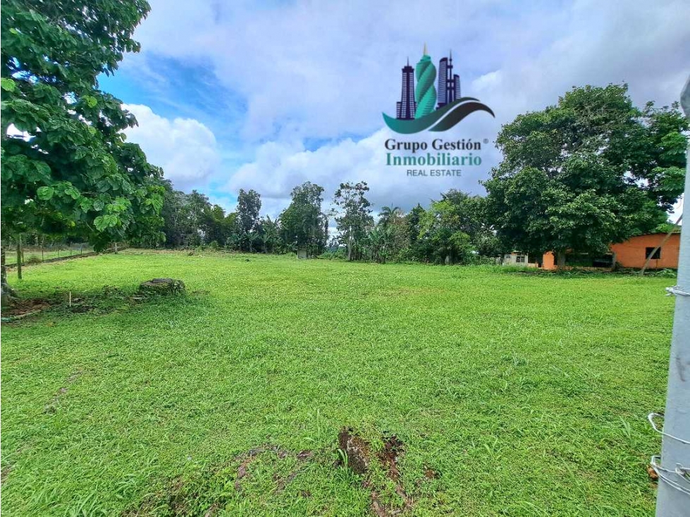 VENDO LOTE COMERCIAL.DE.4850MTS - 1