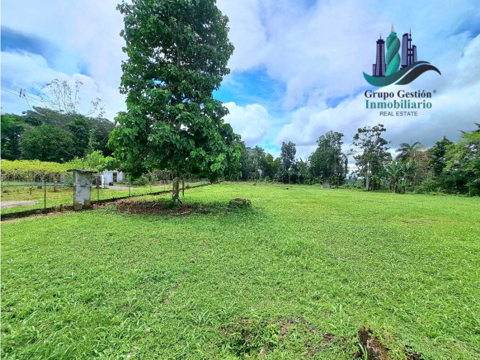 VENDO LOTE COMERCIAL.DE.4850MTS - 2