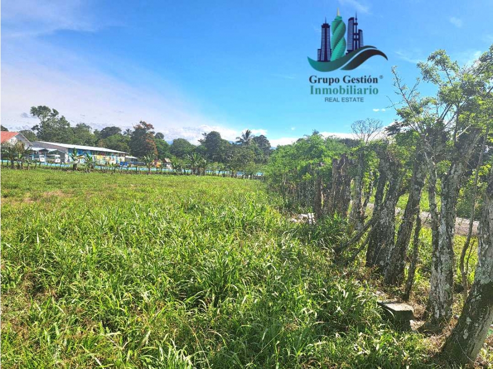 VENDO LOTE COMERCIAL.DE 3.6 HECTAREAS CON.4 CALLES ASFALTADAS CAIZAN - 6