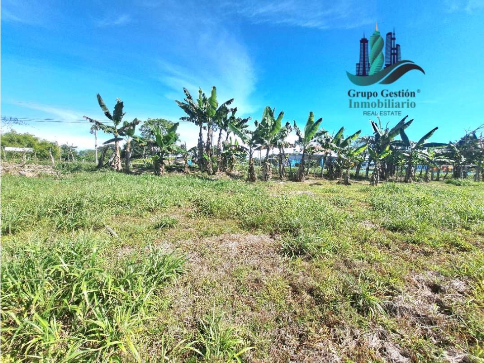 VENDO LOTE COMERCIAL.DE 3.6 HECTAREAS CON.4 CALLES ASFALTADAS CAIZAN - 1