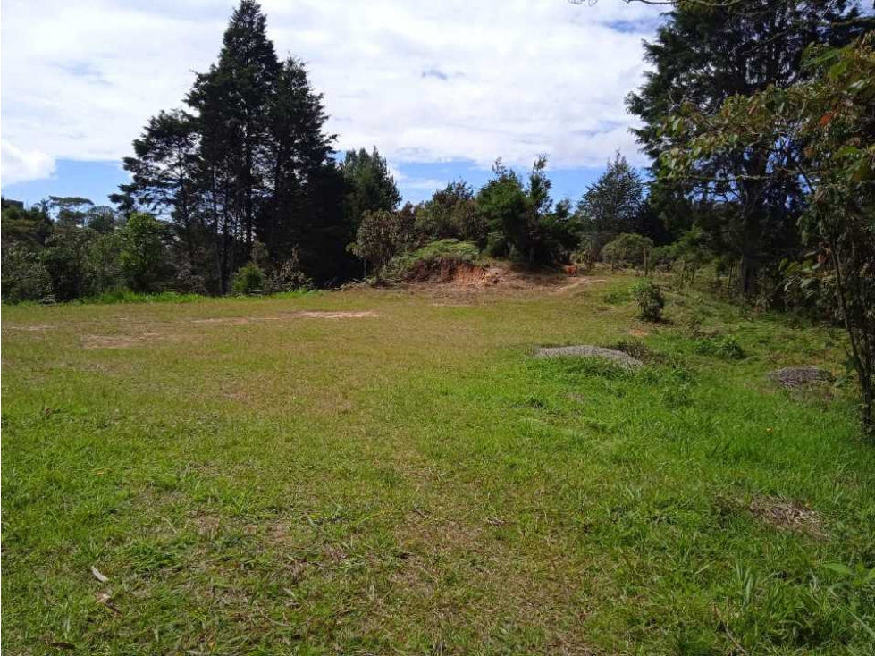 VENDO LOTE CON BOSQUE NATIVO EN GUARNE VEREDA EL SANGO