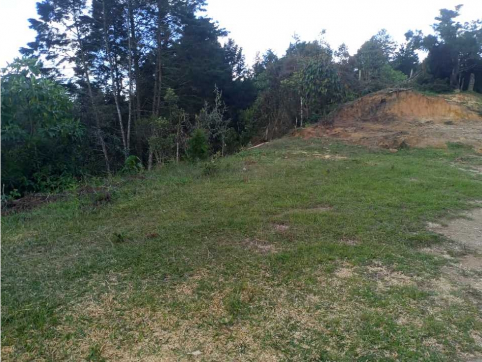 VENDO LOTE CON BOSQUE NATIVO EN GUARNE VEREDA EL SANGO — foto 3