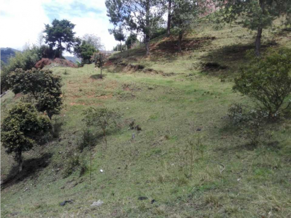 VENDO LOTE CON BOSQUE NATIVO EN GUARNE VEREDA EL SANGO — foto 4