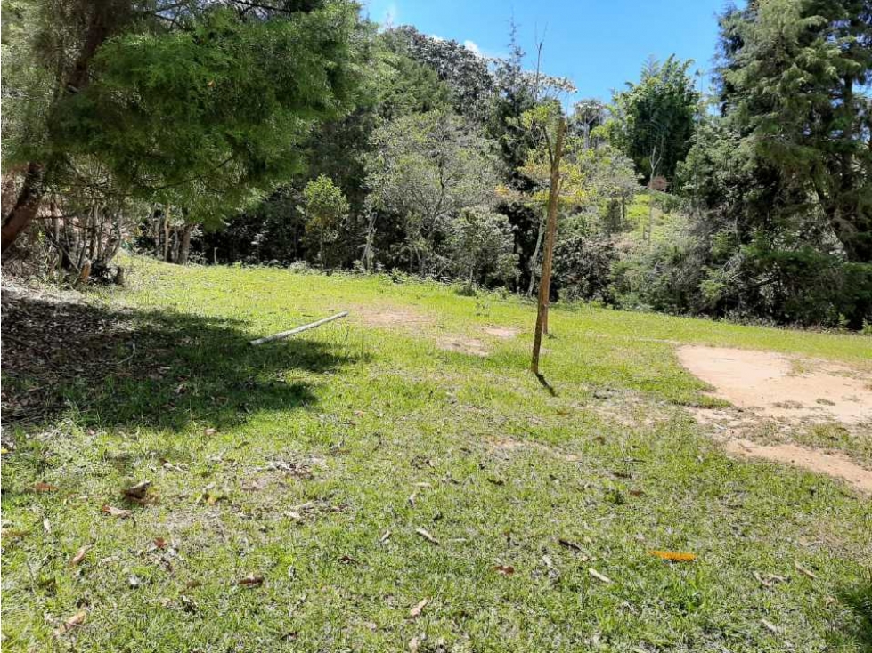 VENDO LOTE CON BOSQUE NATIVO EN GUARNE VEREDA EL SANGO — foto 5