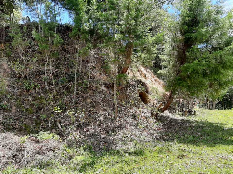 VENDO LOTE CON BOSQUE NATIVO EN GUARNE VEREDA EL SANGO — foto 6