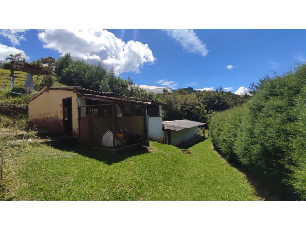 Vendo lote con casa en guarne — foto 4