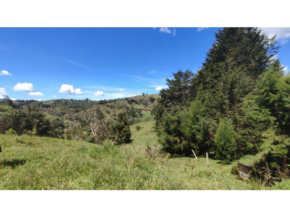 Vendo lote con casa en guarne — foto 5