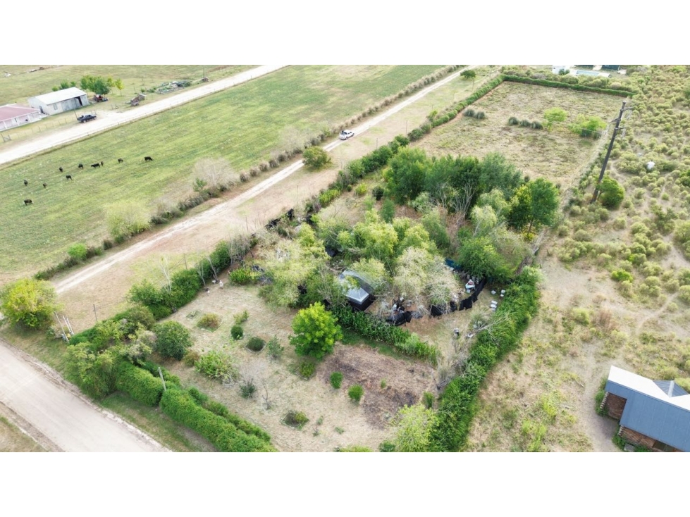 Vendo Lote con galpón en Col. Hughes, Colón, Entre Ríos. - 6