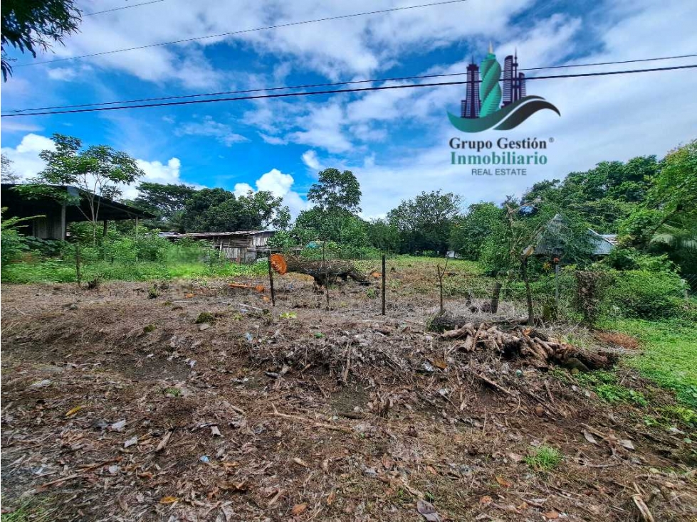 VENDO LOTE DE2500MTS EL.FRANCES
