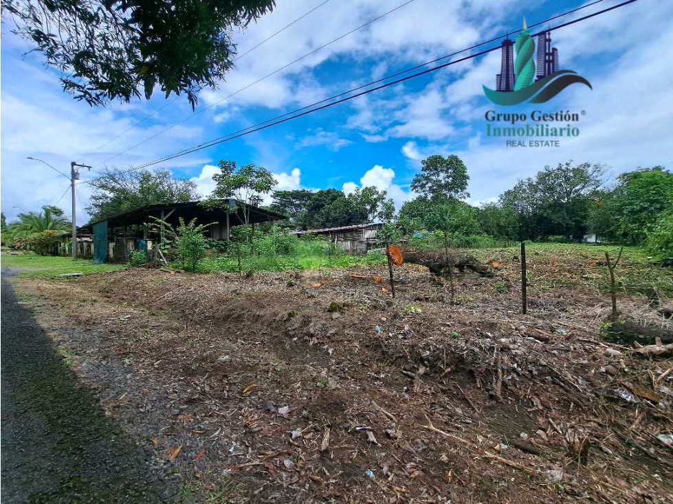 VENDO LOTE DE2500MTS EL.FRANCES — foto 2