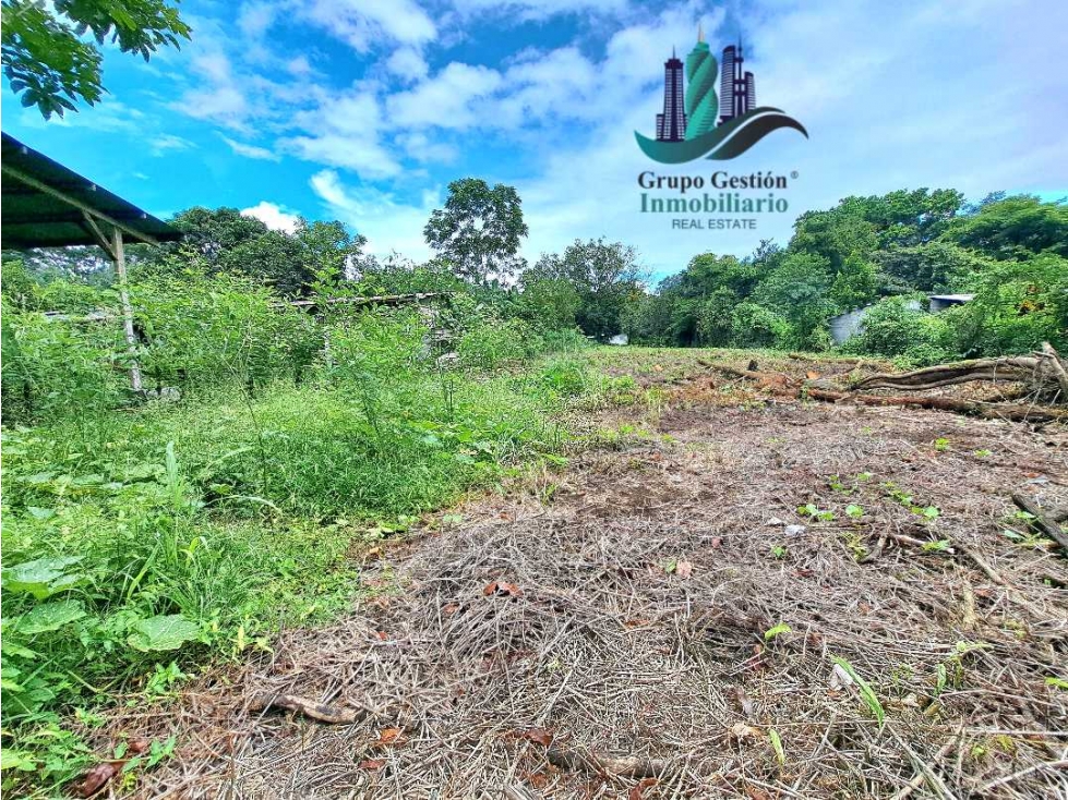 VENDO LOTE DE2500MTS EL.FRANCES — foto 6