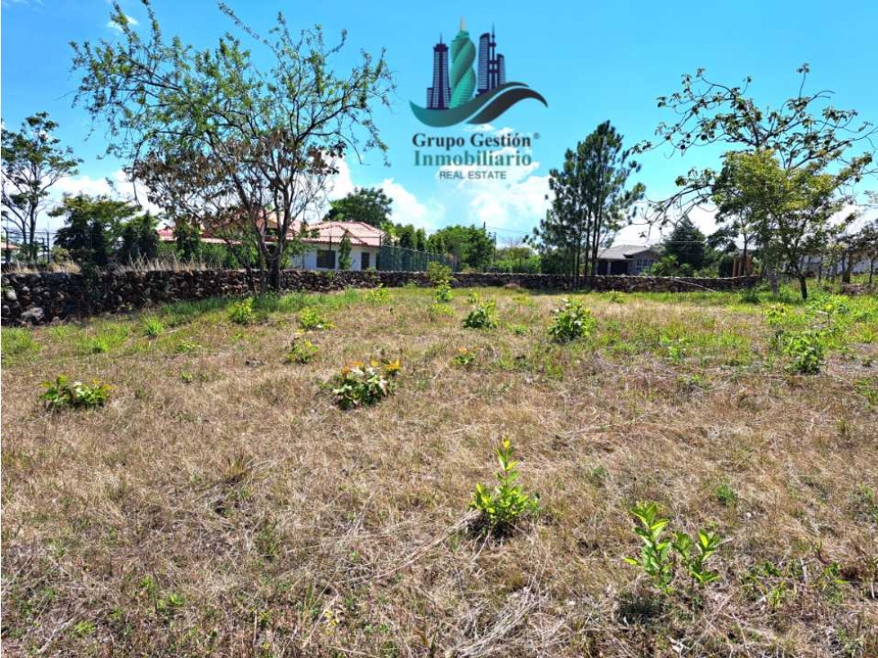 VENDO LOTE DE 1000M2 EN EL FRANCES
