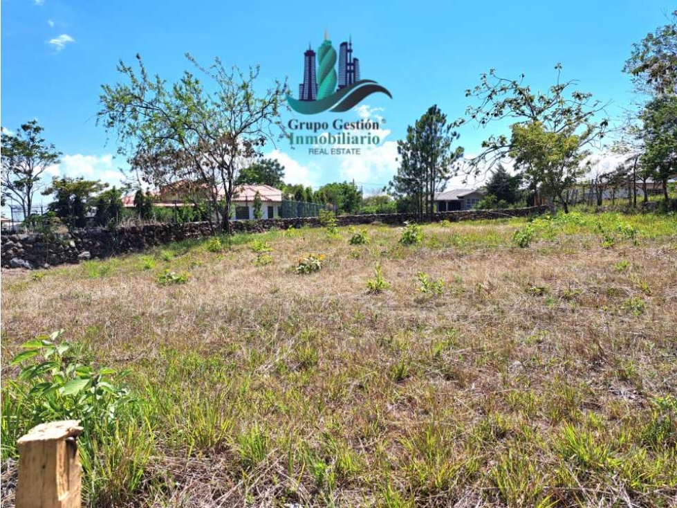 VENDO LOTE DE 1000M2 EN EL FRANCES — foto 2