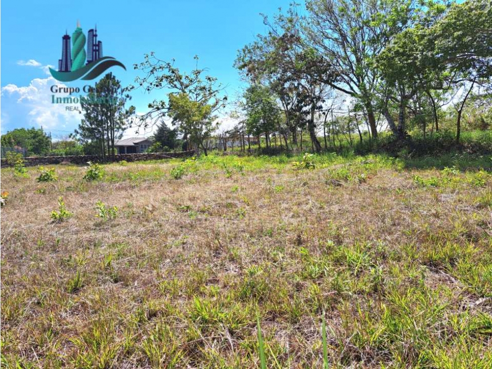 VENDO LOTE DE 1000M2 EN EL FRANCES — foto 3