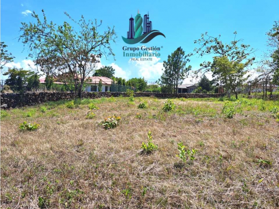 VENDO LOTE DE 1000M2 EN EL FRANCES — foto 4