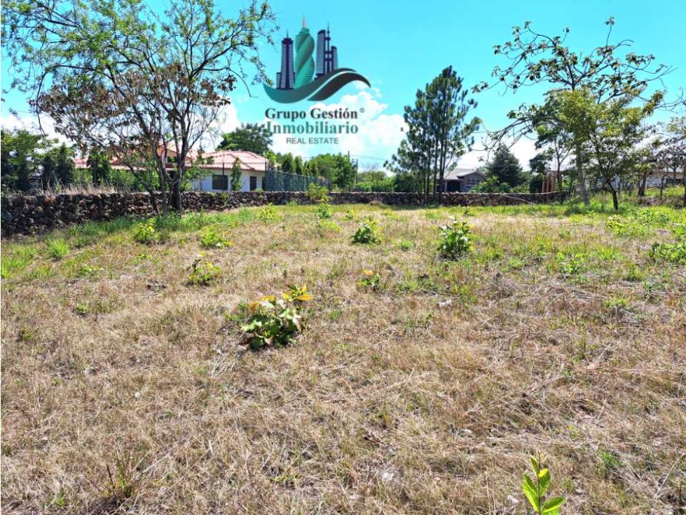 VENDO LOTE DE 1000M2 EN EL FRANCES — foto 5