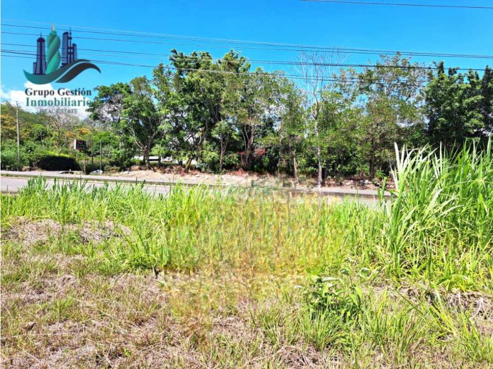 VENDO LOTE DE 1000M2 EN EL FRANCES — foto 6