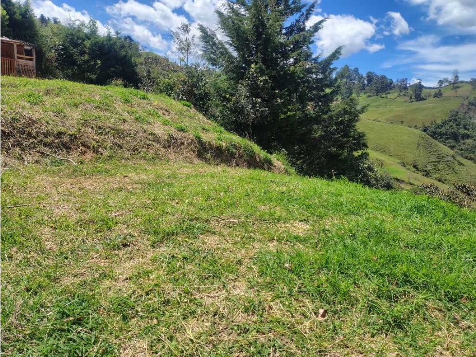 Vendo lote de 1000m2 en vereda matasano ( cerca a don matias) — foto 2