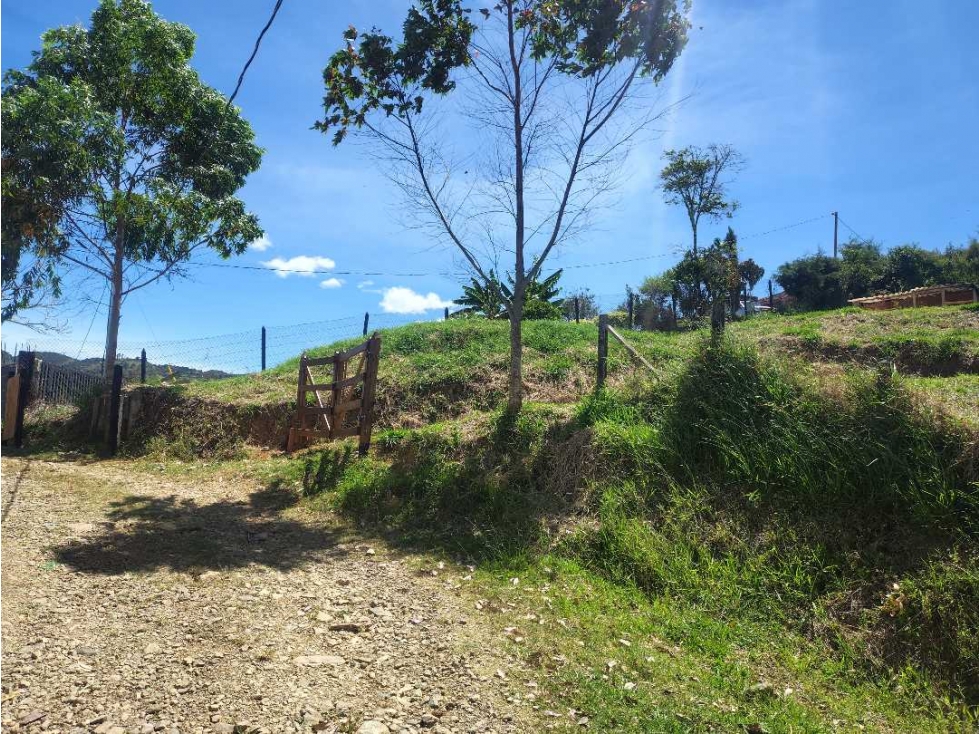 Vendo lote de 1000m2 en vereda matasano ( cerca a don matias) — foto 4