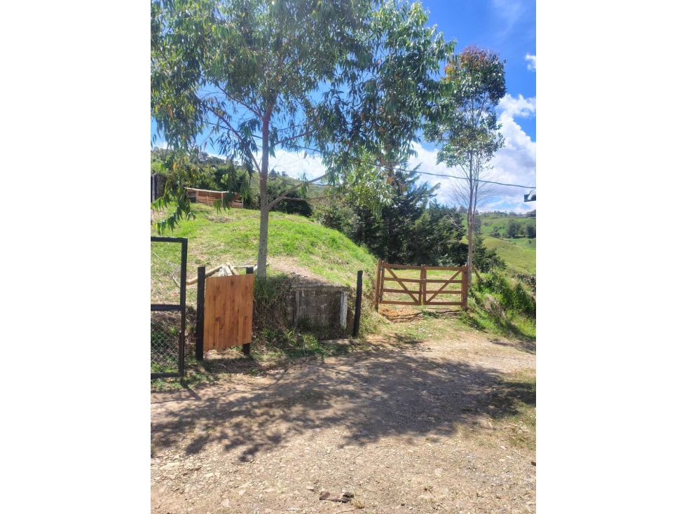 Vendo lote de 1000m2 en vereda matasano ( cerca a don matias) — foto 6