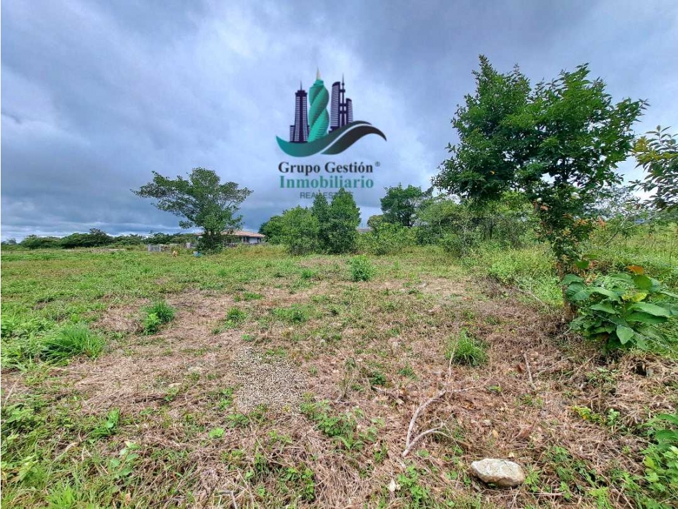 VENDO LOTE DE 1000MTS ALTO BOQUETE — foto 2