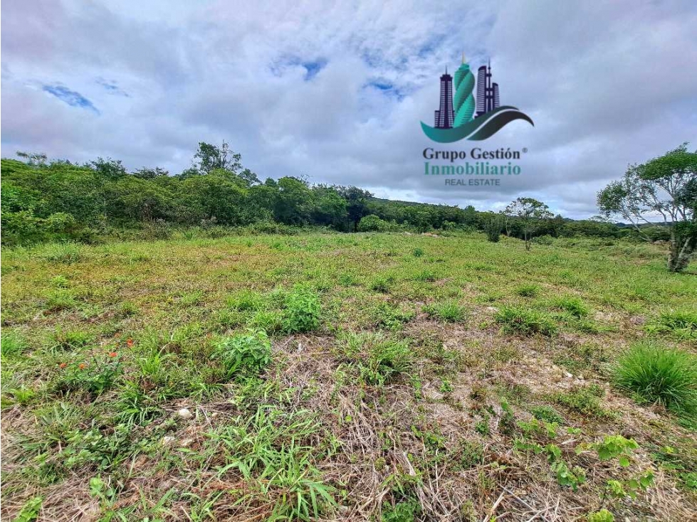 VENDO LOTE DE 1000MTS ALTO BOQUETE — foto 3