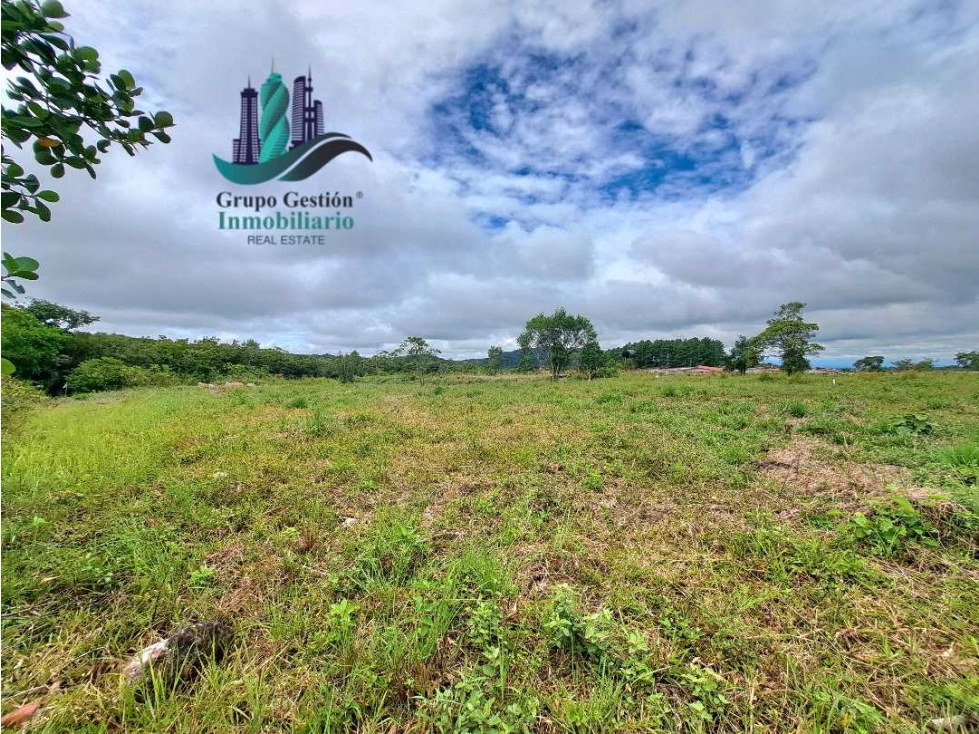 VENDO LOTE DE 1000MTS ALTO BOQUETE — foto 4