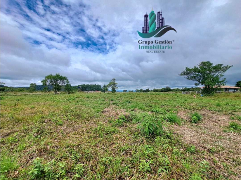VENDO LOTE DE 1000MTS ALTO BOQUETE — foto 5