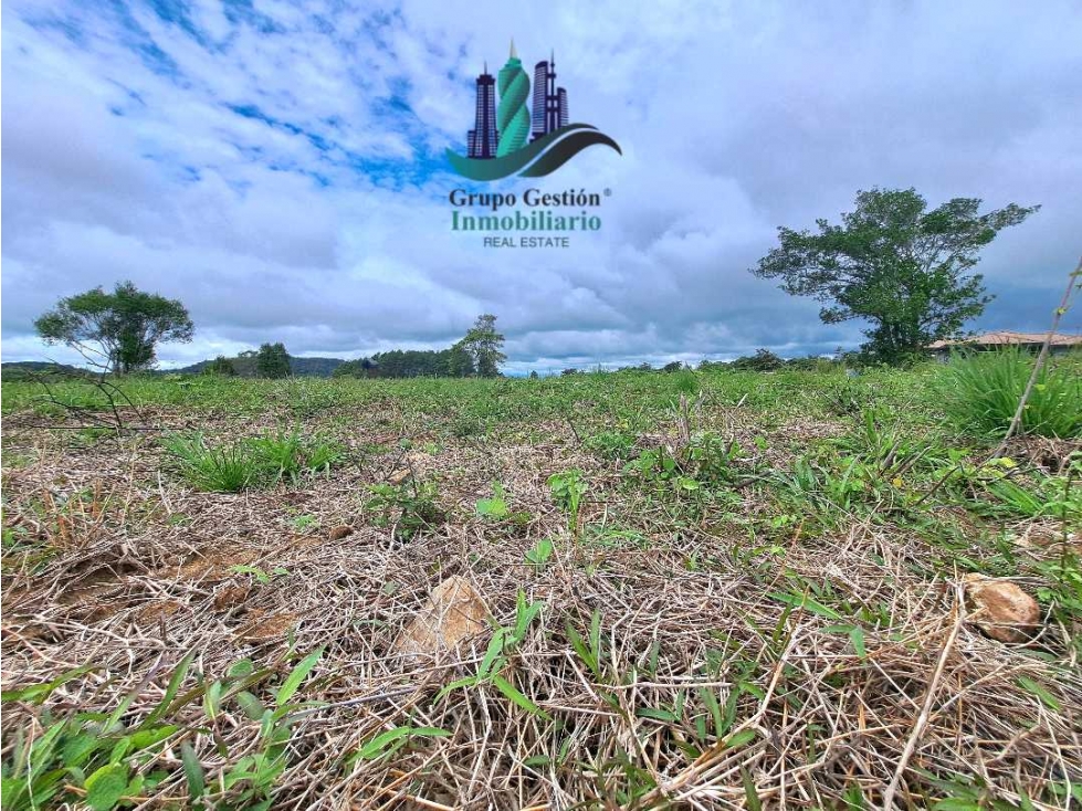 VENDO LOTE DE 1000MTS ALTO BOQUETE — foto 6