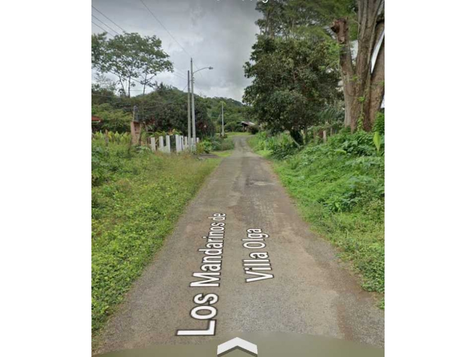 VENDO LOTE DE 1326mts CERCA TERRONAL - 3