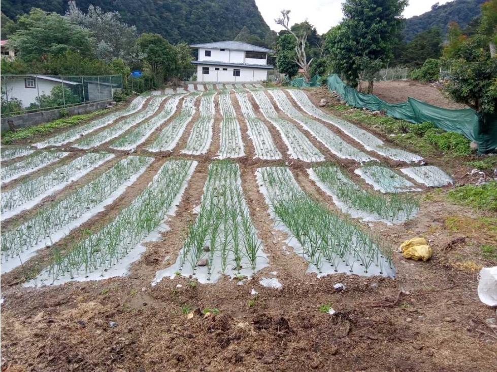 VENDO LOTE DE 1350MTS VIA PASO.ANCHO VOLCAN - 1
