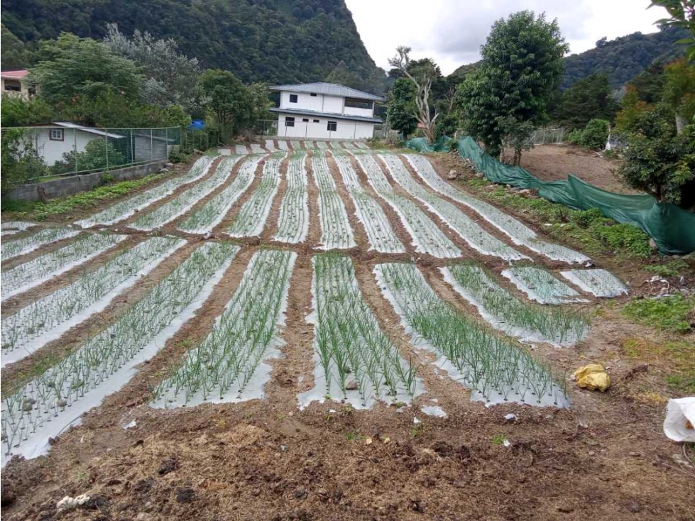 VENDO LOTE DE 1350MTS VIA PASO.ANCHO VOLCAN - 2