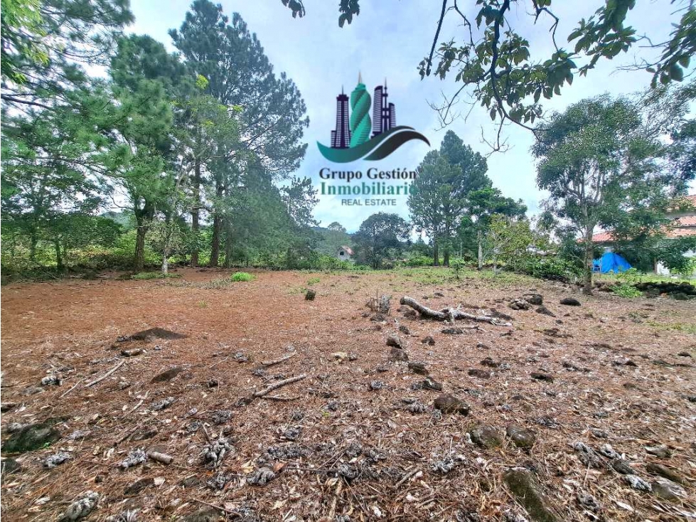 VENDO LOTE DE 1356MTS LAS TRANCAS BQT — foto 2