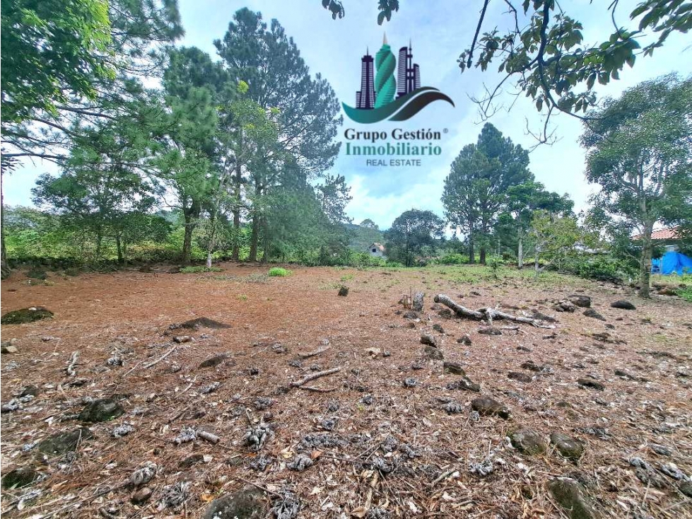 VENDO LOTE DE 1356MTS LAS TRANCAS BQT — foto 3