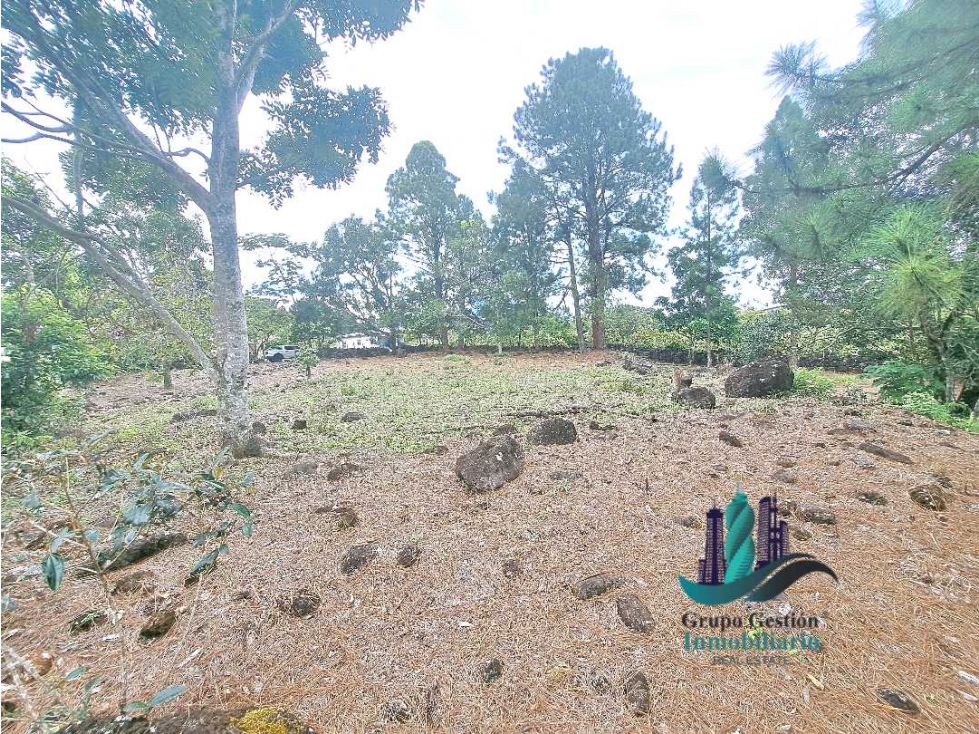 VENDO LOTE DE 1356MTS LAS TRANCAS BQT — foto 4