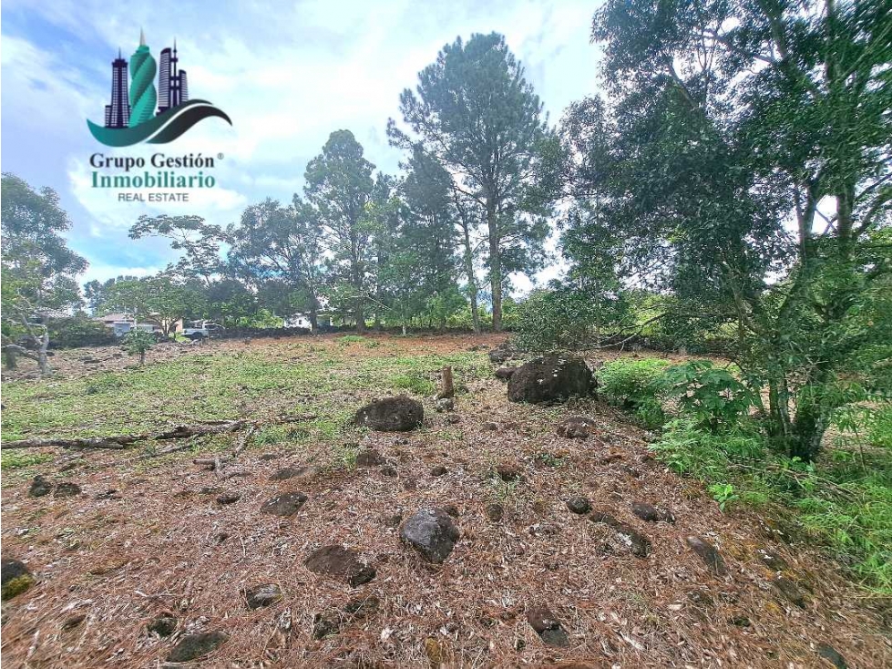 VENDO LOTE DE 1356MTS LAS TRANCAS BQT — foto 5