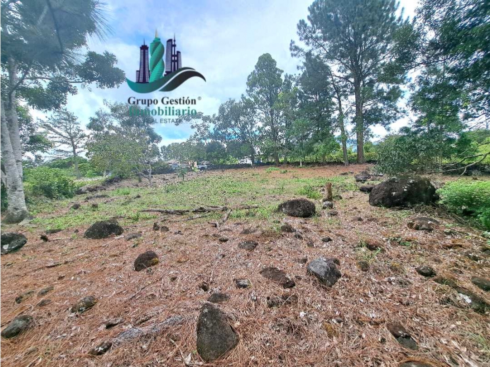 VENDO LOTE DE 1356MTS LAS TRANCAS BQT — foto 6